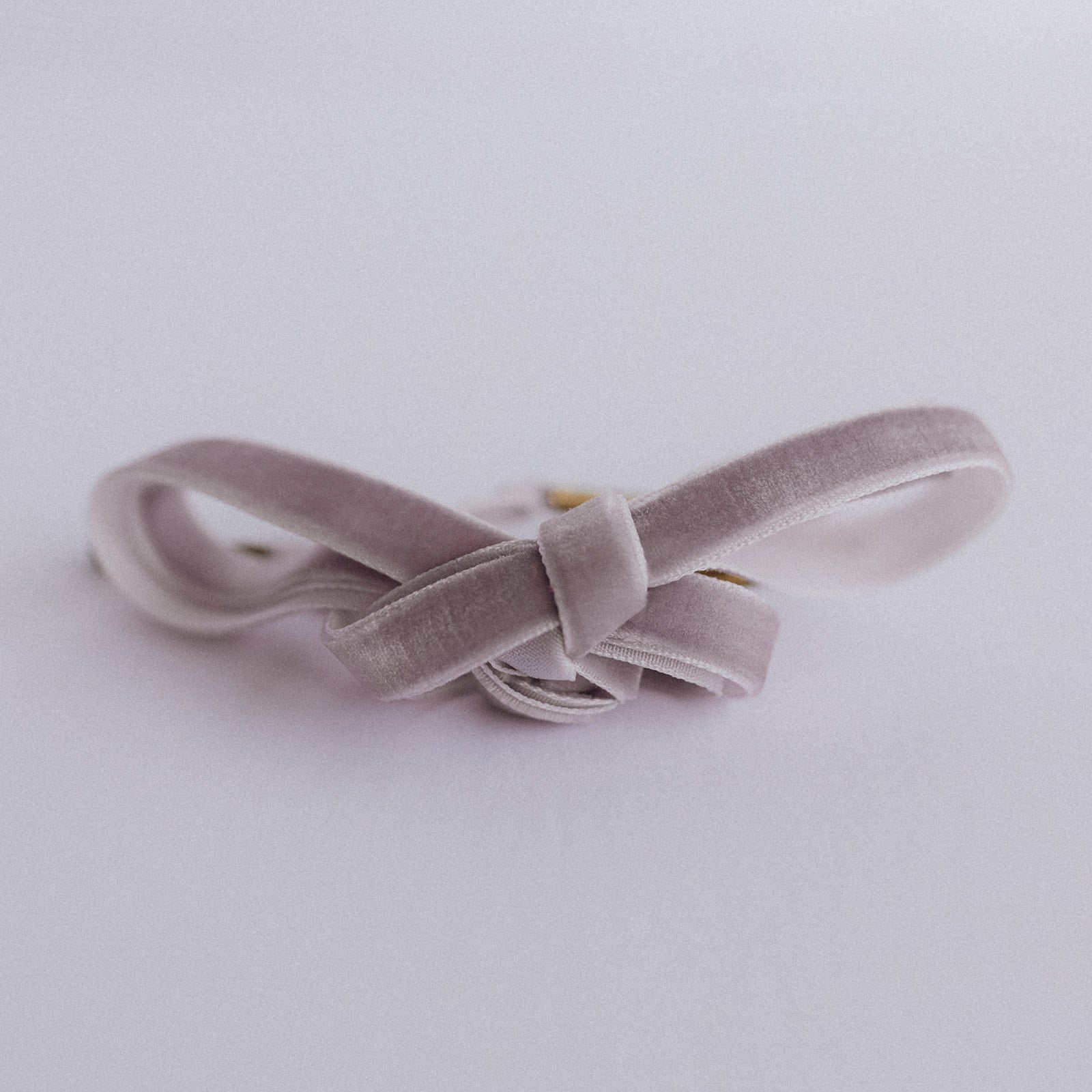 Lavender Velvet Shoe Laces